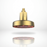 Dourado Polido